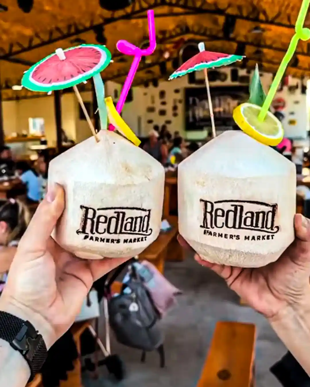 agua de coco refrescante en redland farmes market florida