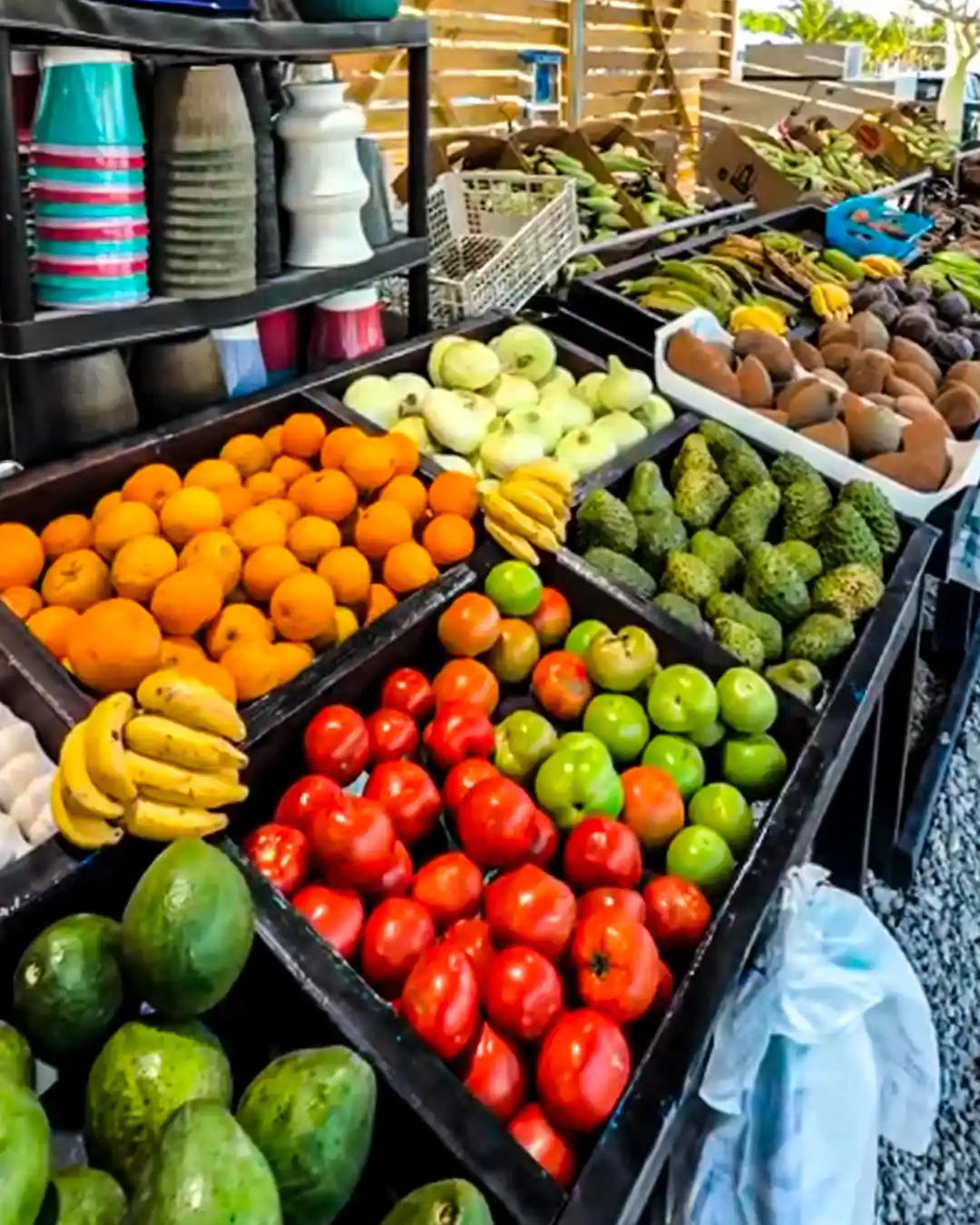 frutas y verduras frescas en redland farmes market florida