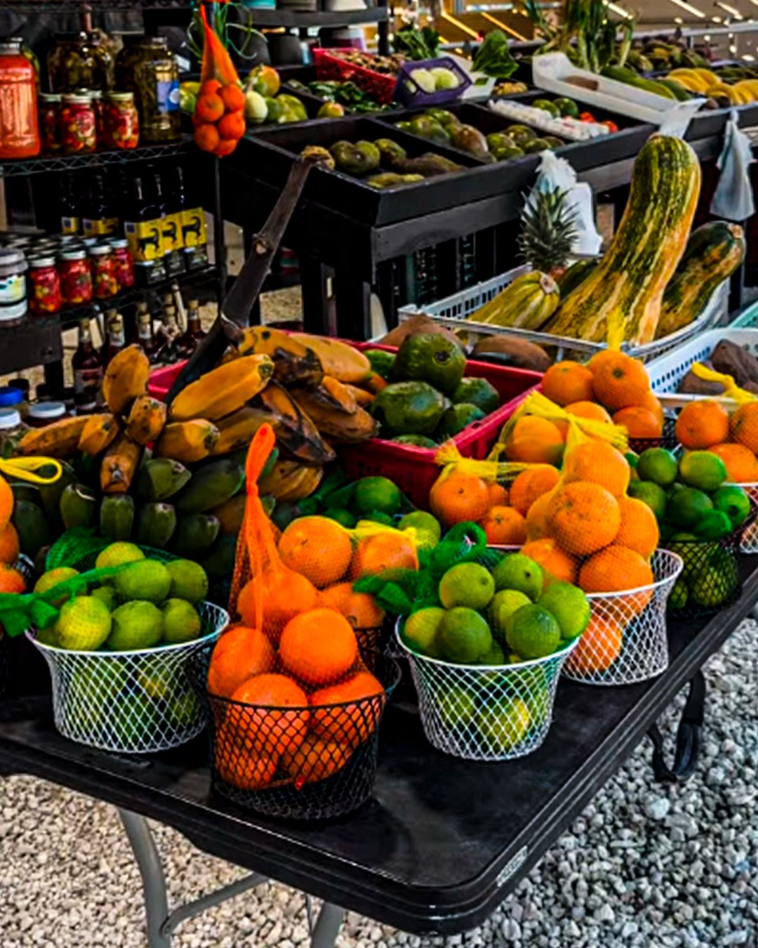 productos agricolas de primera calidad en redland farmes market florida