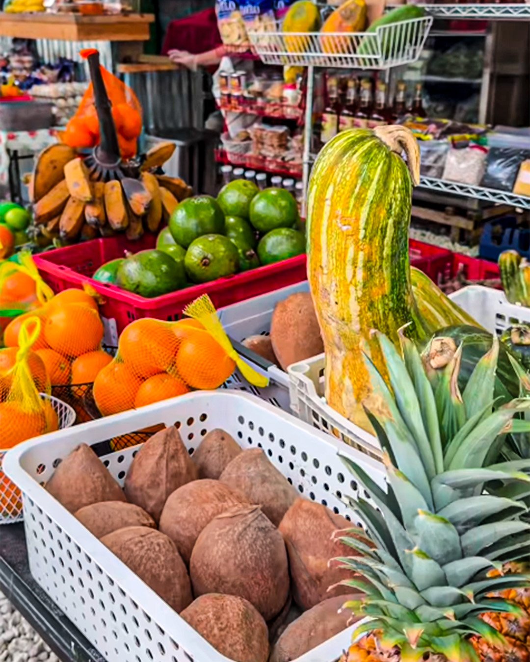tienda de productos agricolas en redland farmes market florida